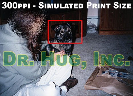 The same printed photo scanned at 300ppi. This time showing the approximate size it would be if printed at high quality.