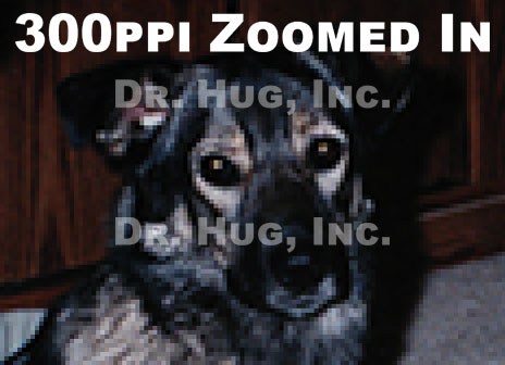 The same printed photo scanned at 300ppi and zoomed in.